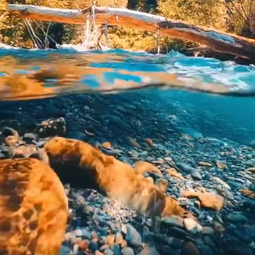 Crystal clear Alaskan water