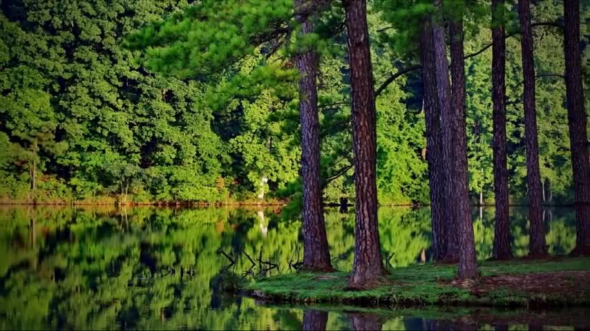 The beauty of nature 😘😘😘