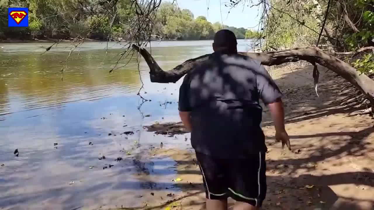 Try not again crazy failed
