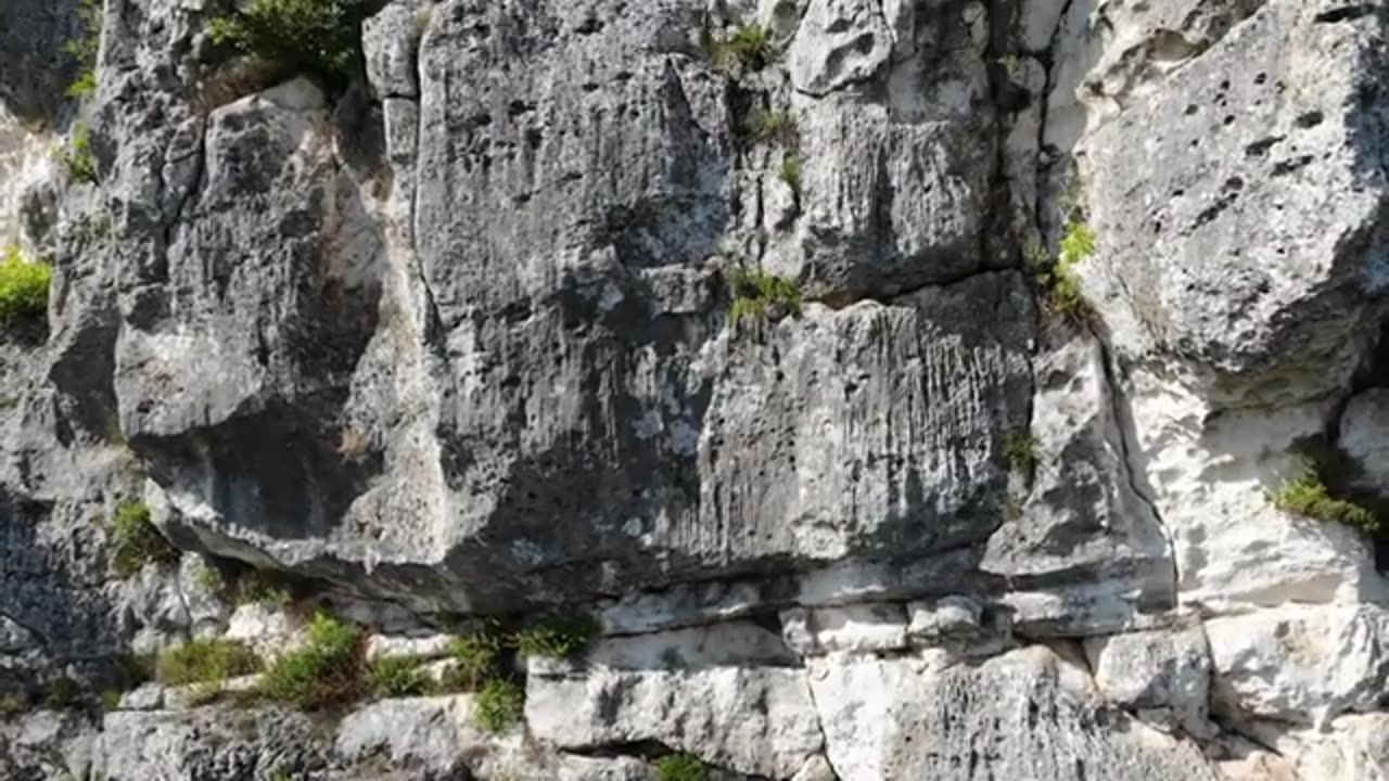 OD OGNJENIH JEZIKA ROĐENA- TEKST PESME JE NAPISAO EPISKOP ZVORNIČKO TUZLANSKI FOTIJE