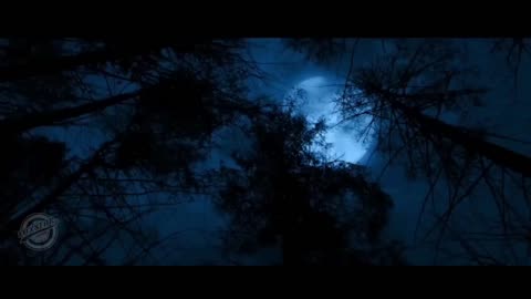 wrong turn