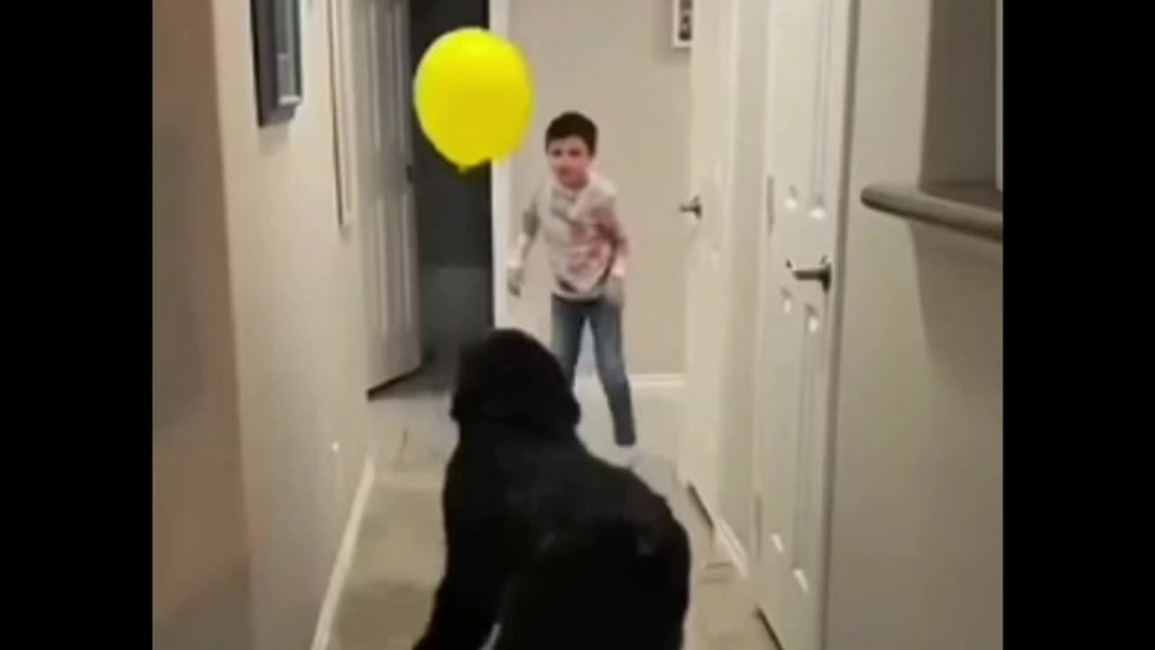 Kids with dog have a happier childhood