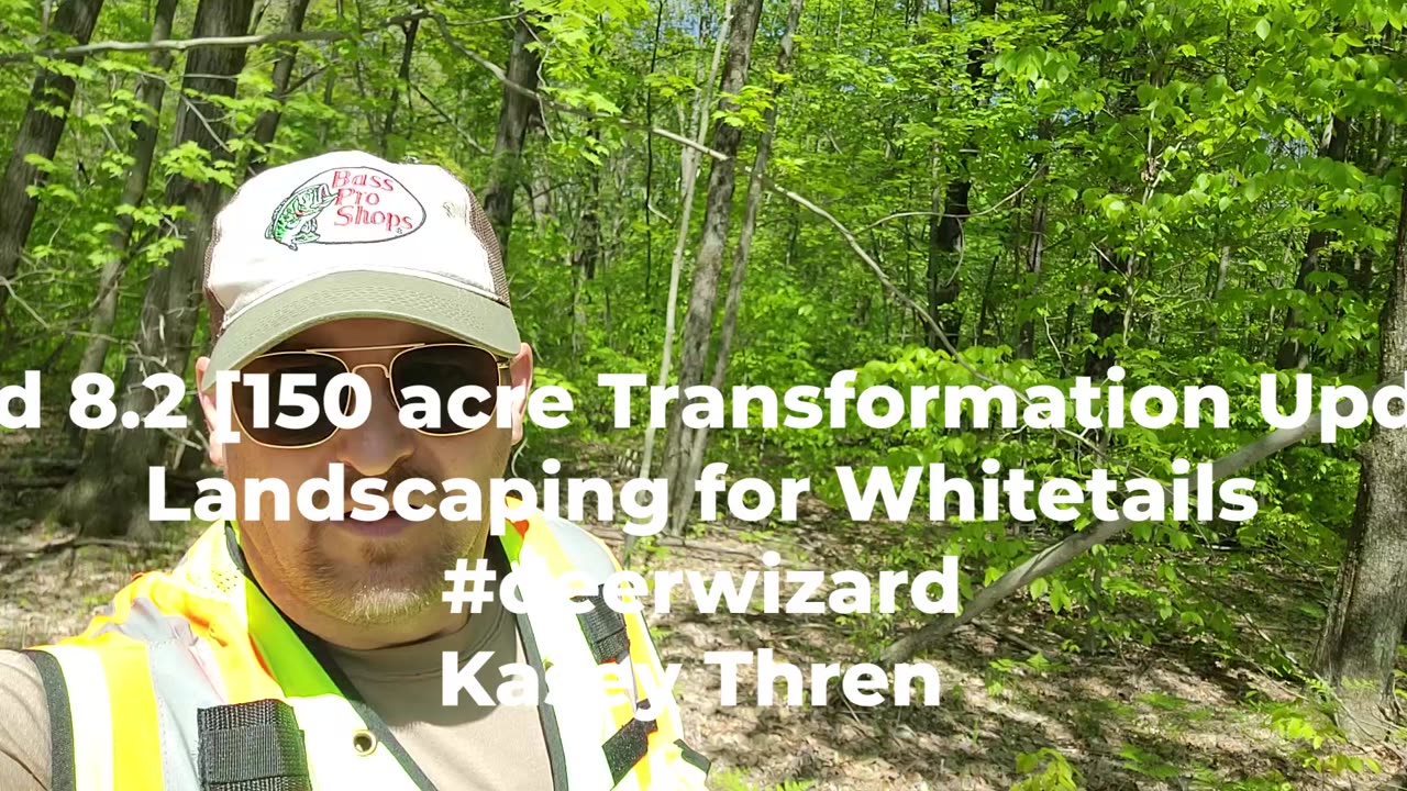 QPod 8.1 [150 acre transformation update] #deerwizard