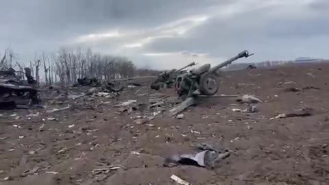 The broken artillery of the invader near Nikolaev