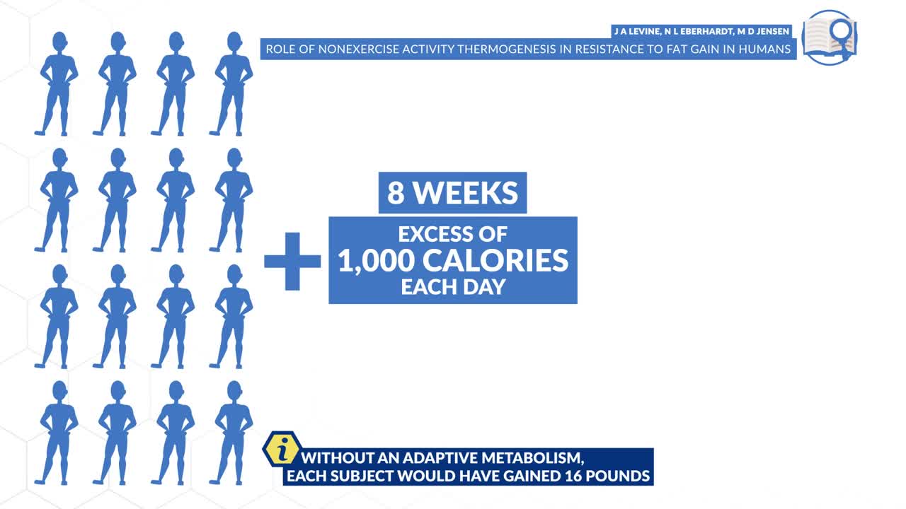 How To Diet To Lose Fat FOR GOOD (4 Phases)