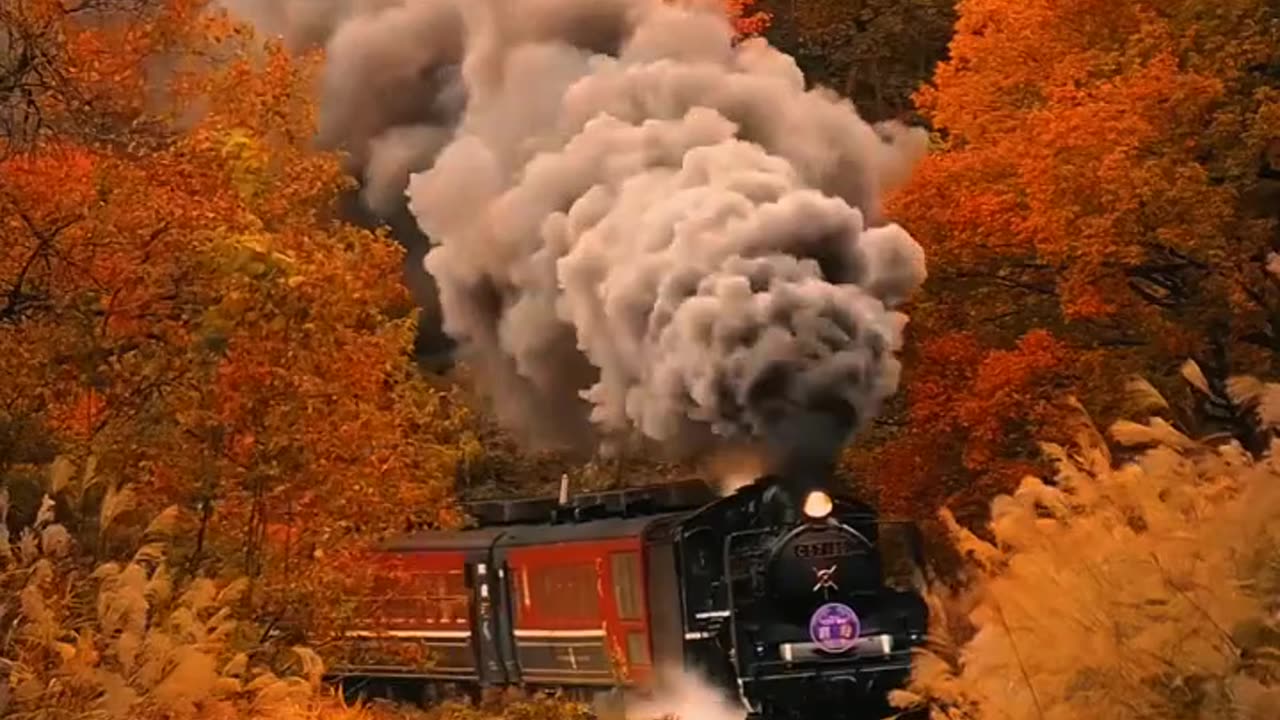 Train beautiful nature beautiful video