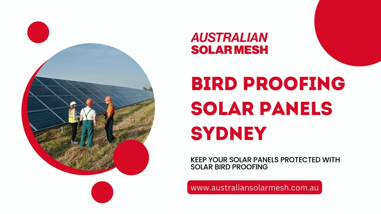 Protect Your Investment with Bird Proofing Solar Panels in Sydney