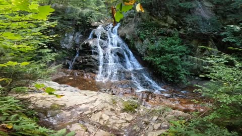 Waterfall Hike