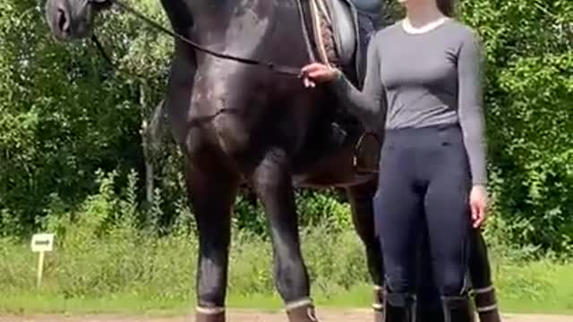 Horse SOO Cute! Cute And funny horse Videos Compilation cute moment #21