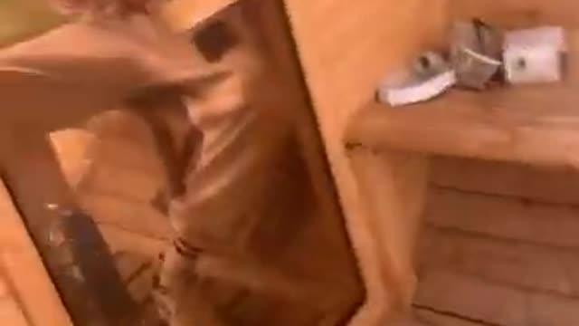 ScareCam - Funny video. Dad got scared!