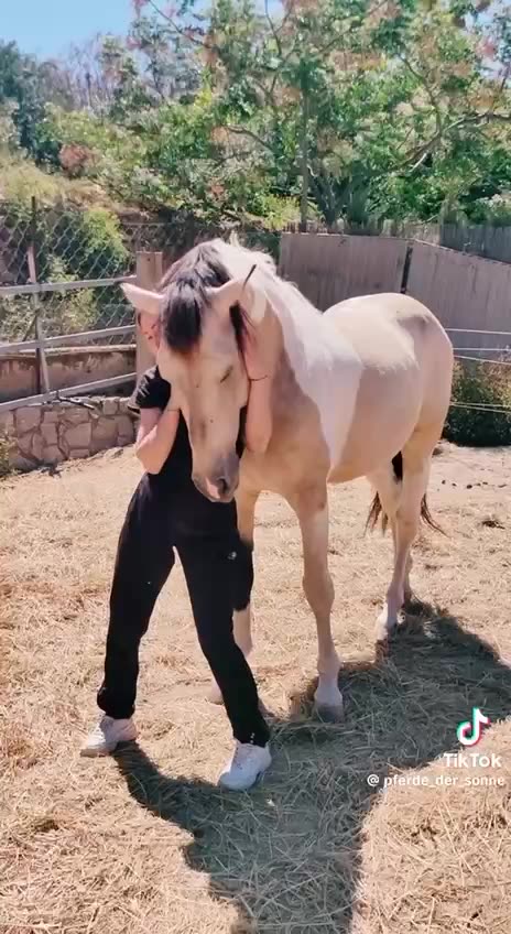 Hugs are so IMPORTANT