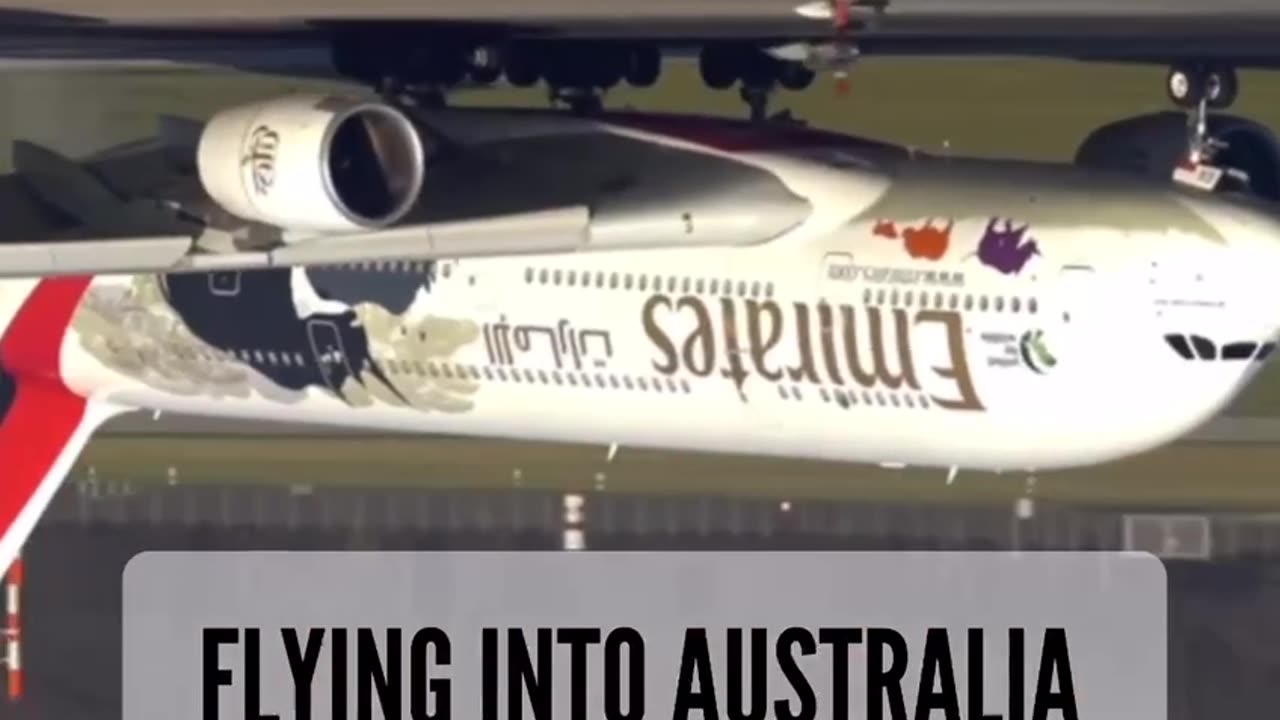 טסים לאוסטרליה מצפון אמריקה כמה מגוחך זה נראה כוח הכבידה