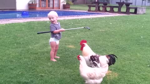 Don't mess with Hendrik the rooster!