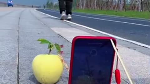 Cute funny videos challenging style 14