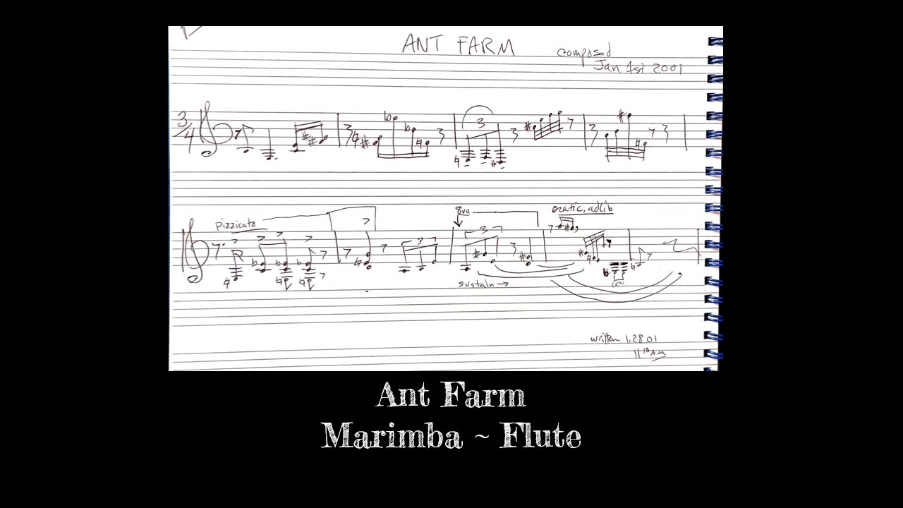 Ant Farm ~ for Marimba and Flute ~ alsetian