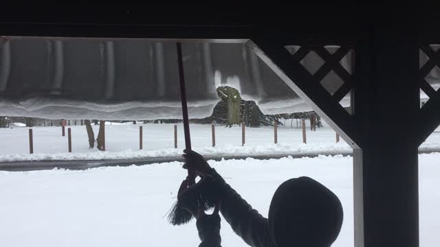 Boy dislodges monster snow ledge