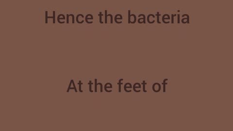 Foot Smell