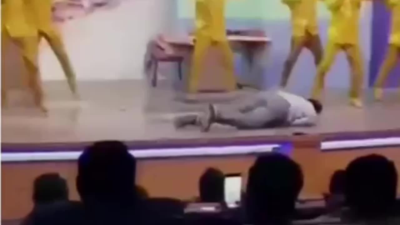 funny videos