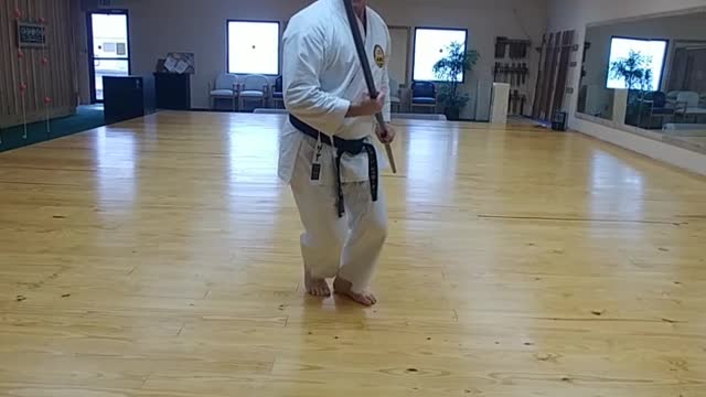 BoJutsu Training