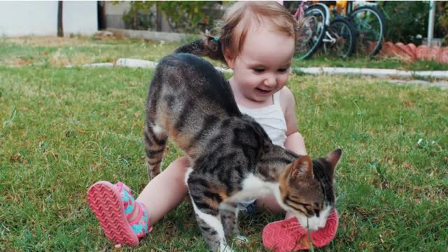Cats video | cat with baby
