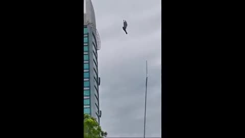 Bird Gets Stuck in Mid Air. Glitch in the Hologram?