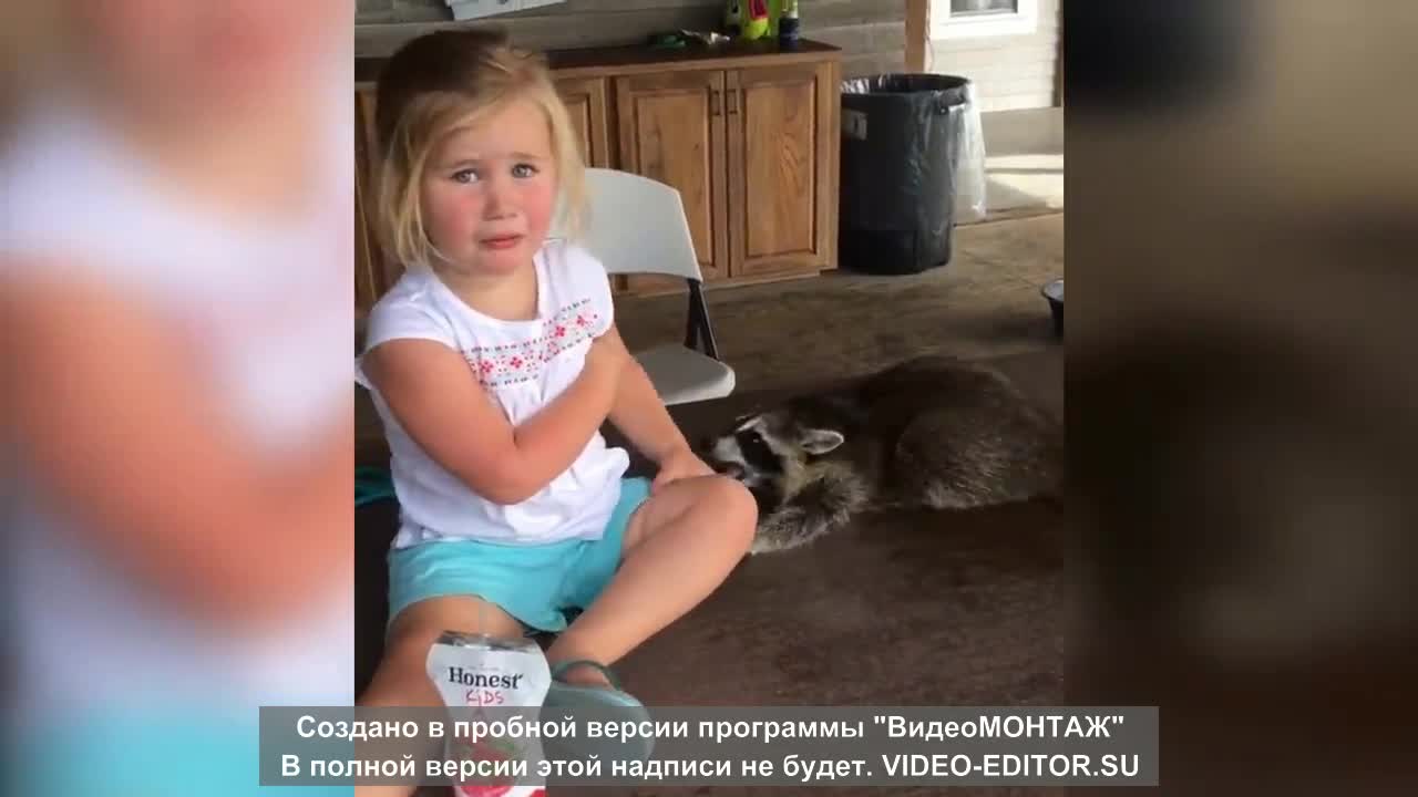 Funny Pet Videos 7