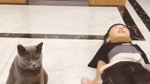 So really cute cat