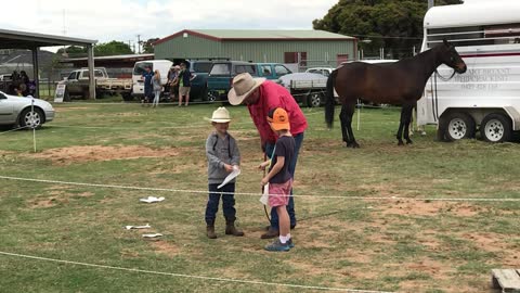 Amazing Control Of An Australian Stock Whip