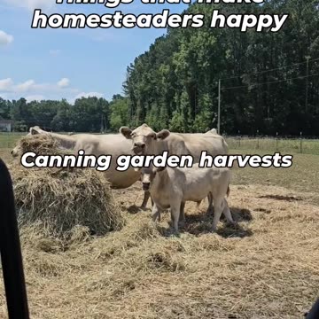 What Makes Homesteaders Happy??
