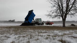 New weekly tradition and barn clearing