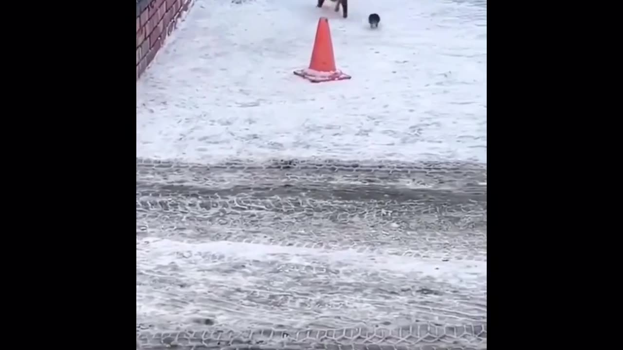 Funny Movement