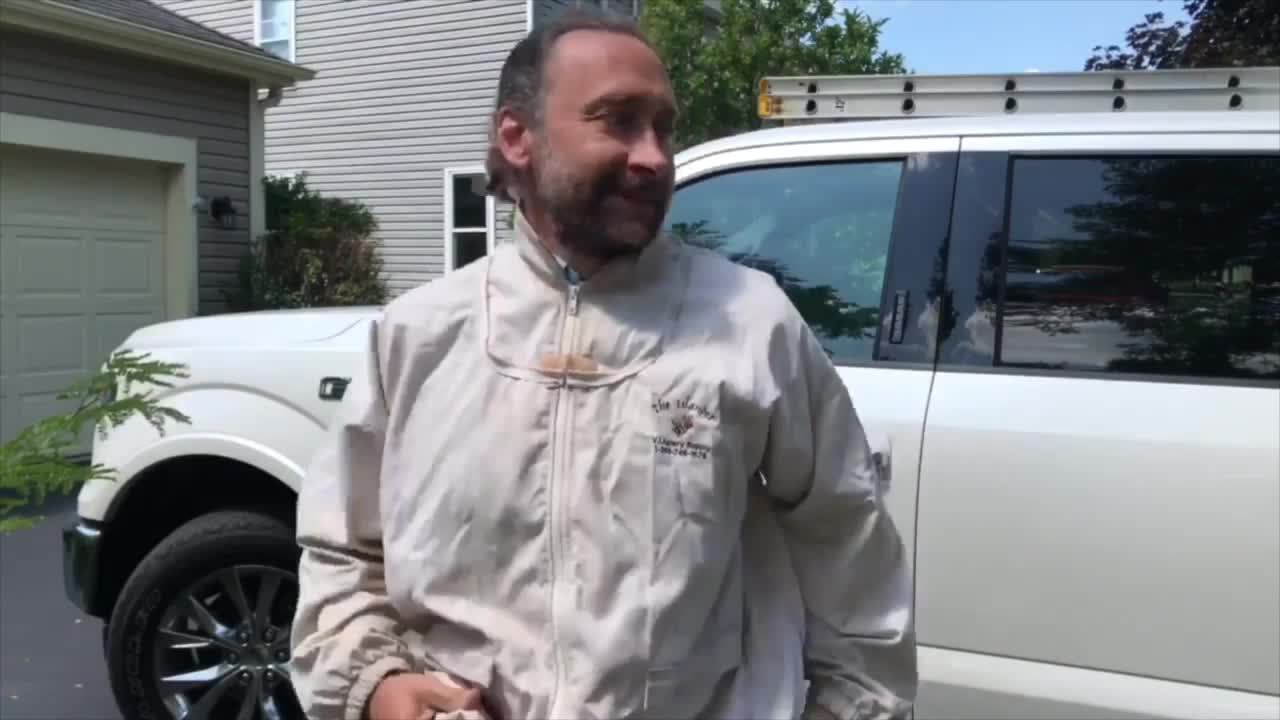 Man Has No Fear Removing a Bald Faced Hornt Nest On Roof!