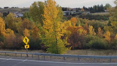 Brewery Flats fall colors