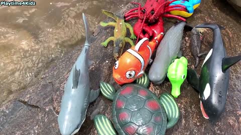 Sea Animal Toys This Summer at the Shore