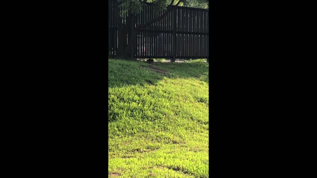 Sneak attack