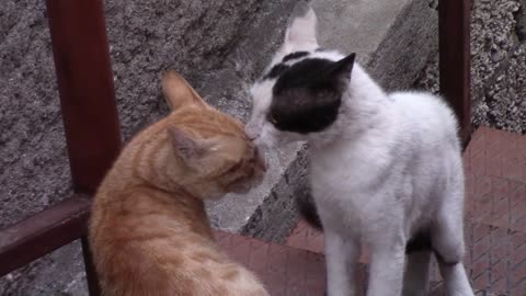 Encontrei um adversário a altura.😤😤