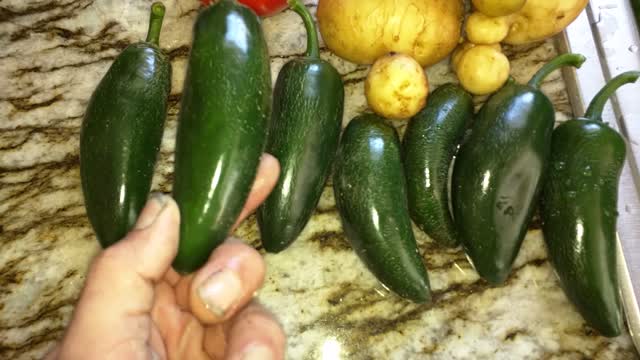 Fresh Garden pick