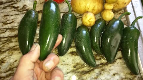 Fresh Garden pick