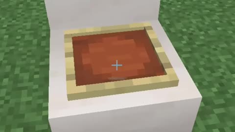 Camera toilet in Minecraft