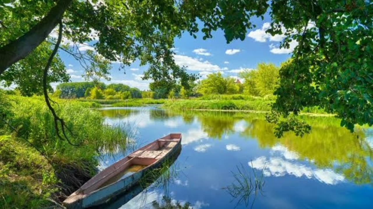 Nature photography 🌿🍃