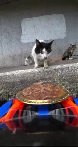 The bravest is the most well—fed!!