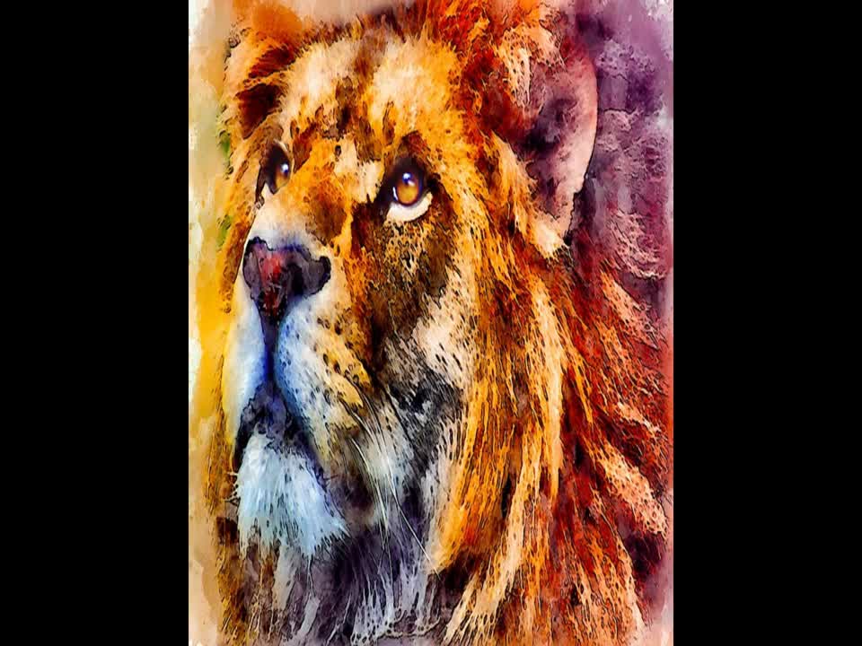 The Lion The Leader and The Sage Part 3 The 5 Levels