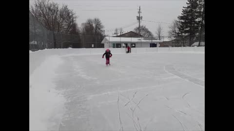 Skating Sisters