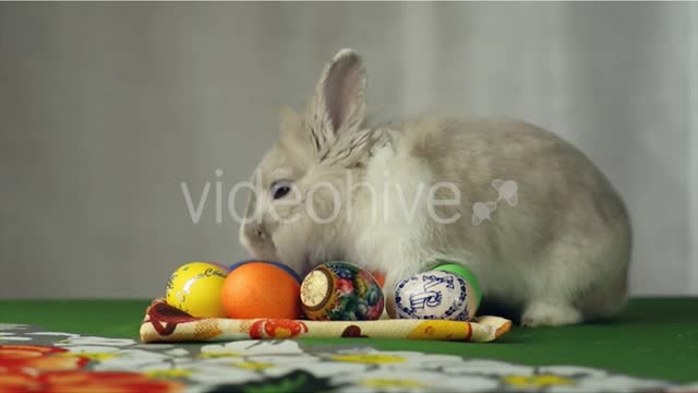 Cute Bunny in Denim