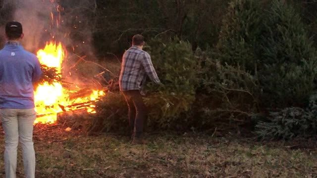 Christmas tree burn