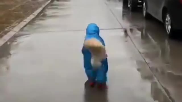 cute dog wearing raincot😂😂😂