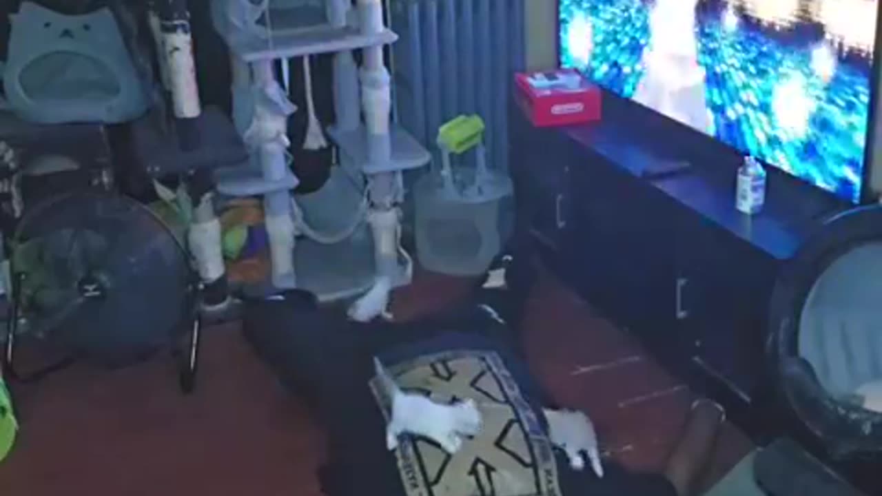 "Sorry I got plans" The plans: