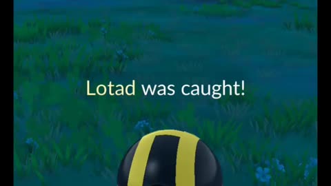 Pokémon GO-Shiny Lotad