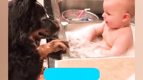 Cute baby paly with dogs watch full video cute baby's