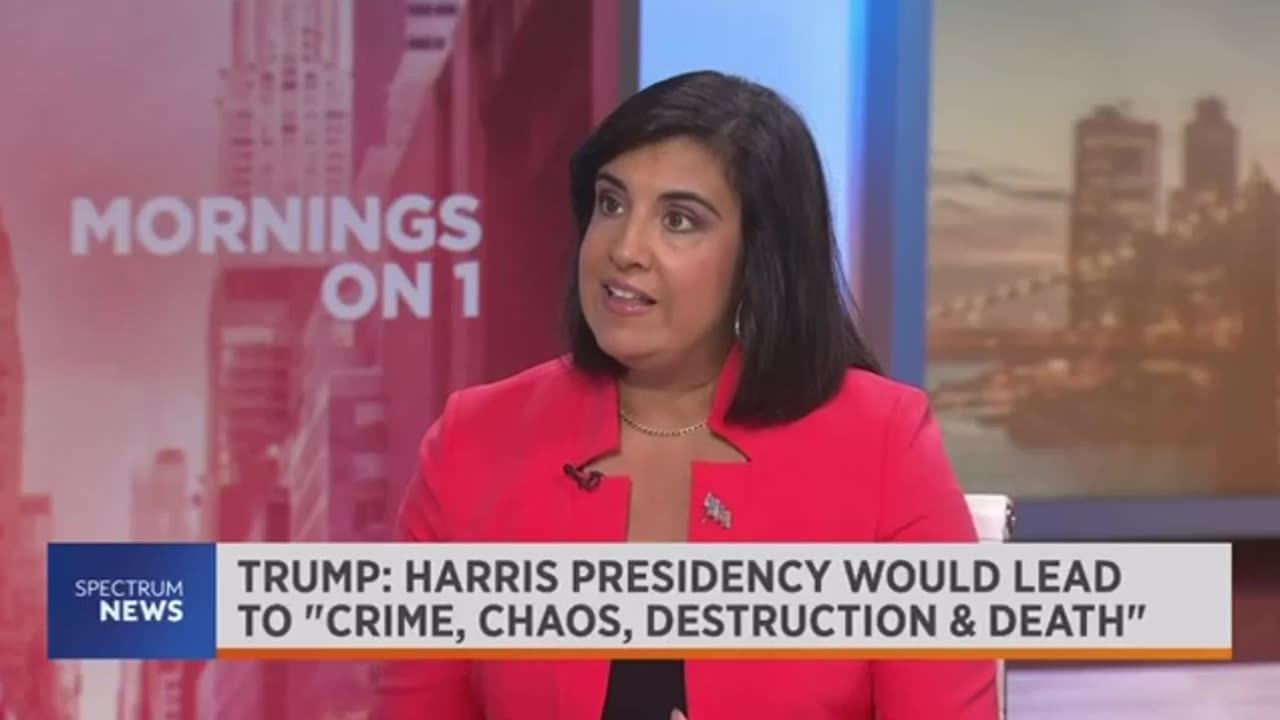 Malliotakis: The DNC is one big gaslighting convention